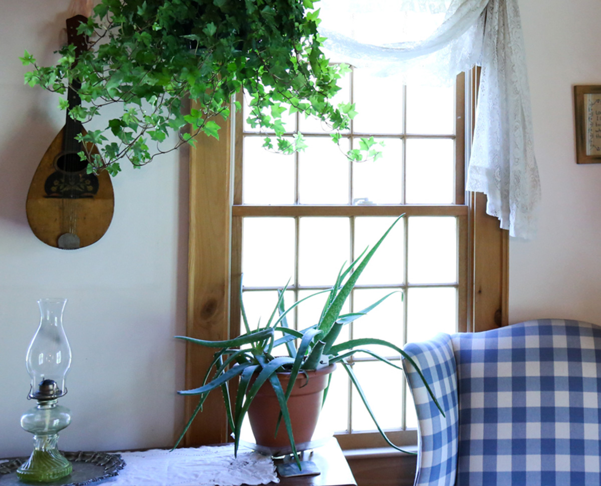 Experience Romance and the Enchantment of a Peaceful Place Time Forgot